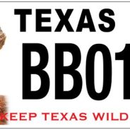 You Can Vote on the ‘Horny Toad’ Lizard Plate
