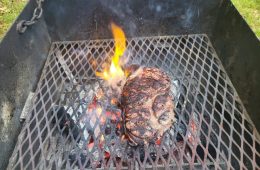 COMMISSIONER MILLER PRAISES TEXAS LEGISLATURE FOR PUTTING A FORK IN LAB-GROWN MEAT