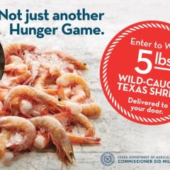 Are You A Texas Electric Cooperative Member? You Could Win Gulf Shrimp