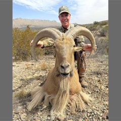 List Animals You Can Hunt From a Chopper in Texas Just Increased