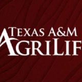 Ranch Horse Program on August 3rd to Launch Beef Cattle Short Course