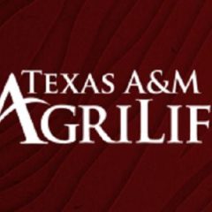 Ranch Horse Program on August 3rd to Launch Beef Cattle Short Course