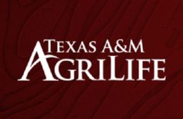 Ranch Horse Program on August 3rd to Launch Beef Cattle Short Course