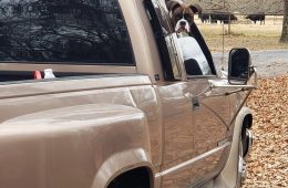 Soft Demand For EVs Spark GM Assembly Move From Texas