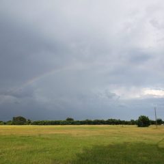 Governor Abbott Activates State Emergency Resources Ahead of Tropical Weather Threat