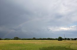 Governor Abbott Activates State Emergency Resources Ahead of Tropical Weather Threat