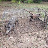Text, Call or Click: Texas Game Wardens Make Reporting Wildlife Crimes Easier Than Ever with Tip411