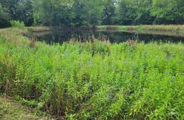 China Accounted for 8% of Foreign Buyers in Texas Real Estate Market Ahead of New Law