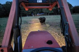 Abbott, USDA Secretary Rollins Announce $750 Million Screwworm Protection Facility in Texas