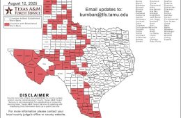 Western Half of Texas Remains Parched as Burn Bans Widen