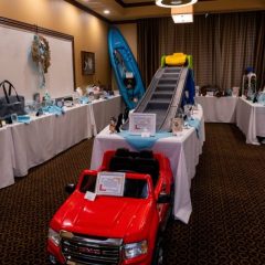 Gala Silent Auction Committee Seeks Donations