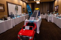 Gala Silent Auction Committee Seeks Donations