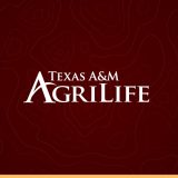 Veterinary Science Certificate Program Promotes Early Steps on Career Path