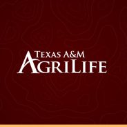 Veterinary Science Certificate Program Promotes Early Steps on Career Path