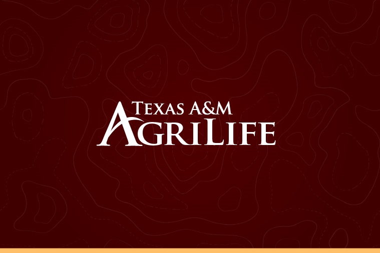 Texas A&M AgriLife logo AT-placeholder-yellow