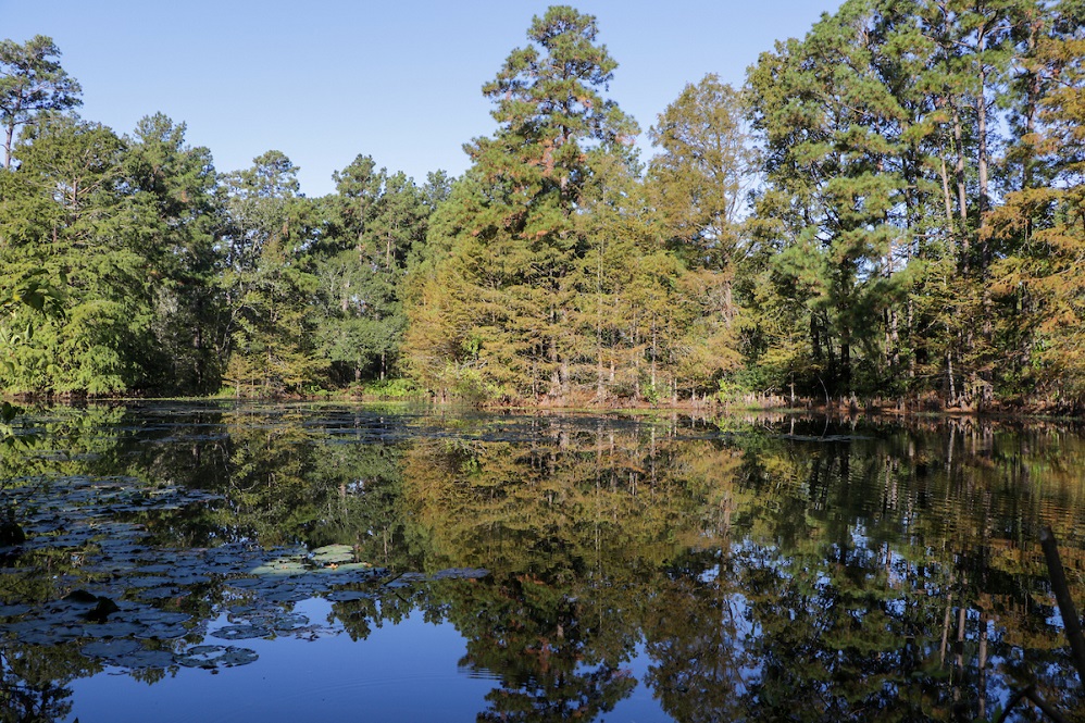 Texas A&M Forest Service use of trees for Watershed September 2025