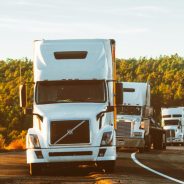 Texas Halts CDL Issuance for DACA Recipients, Refugees, and Asylees