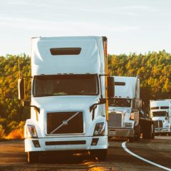 Texas Halts CDL Issuance for DACA Recipients, Refugees, and Asylees