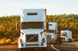 Texas Halts CDL Issuance for DACA Recipients, Refugees, and Asylees