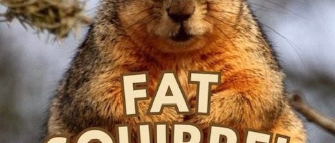Learn About Fat Squirrel Week and How You Can Vote on This Second Cup Of Coffee