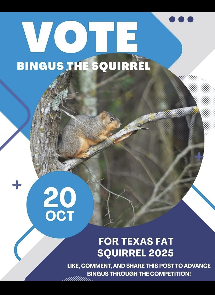 Bingus The Squirrel Fat Squirrel Week 2025 October 2025 pic from Cooper Lake State Park facebook