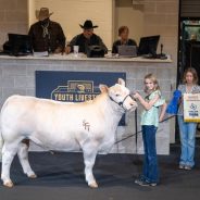 Grand Champion Steer Sells for $200,000