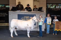 Grand Champion Steer Sells for $200,000