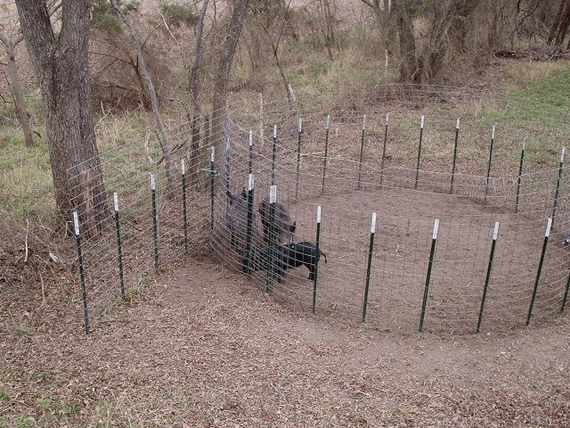 duck duck go September 2025 Circle/Corral Trap