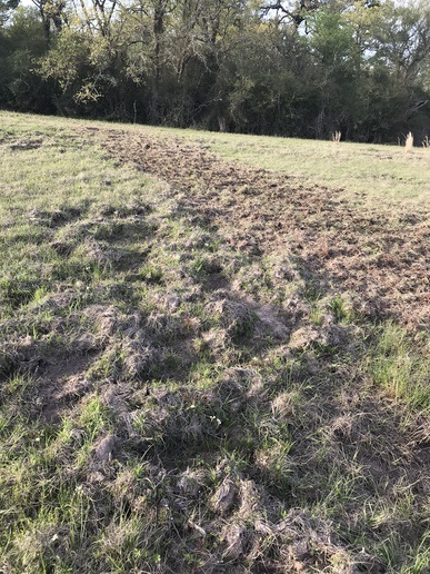yesterdays tractors Rooting Damage September 2025