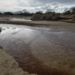 Data Center Water Use in Texas Remains Unclear Amid Limited Reporting