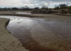 Data Center Water Use in Texas Remains Unclear Amid Limited Reporting