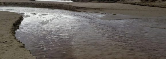 Data Center Water Use in Texas Remains Unclear Amid Limited Reporting