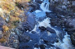 Texas Manufacturing and AI Boom Hinges on Access to Affordable Water