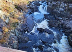 Texas Manufacturing and AI Boom Hinges on Access to Affordable Water