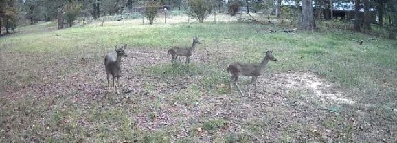 Hunters for the Hungry Donates New Deer Processing Trailer to East Texas Food Bank