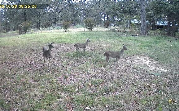 Hunters for the Hungry Donates New Deer Processing Trailer to East Texas Food Bank