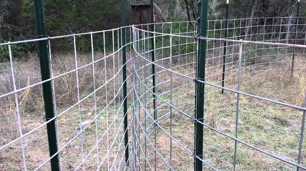 duck duck go maxresdefaul t Circle Trap Gate September 2025