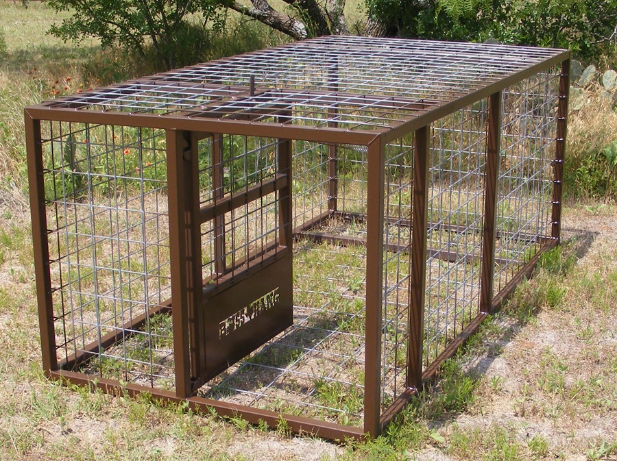 duck duck go hawgtraps Box Trap