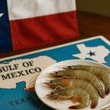 Gulf Shrimp Season to Close May 15 to Support Population Growth