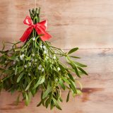 MISTLETOE By Master Gardener Ronnie Wilson