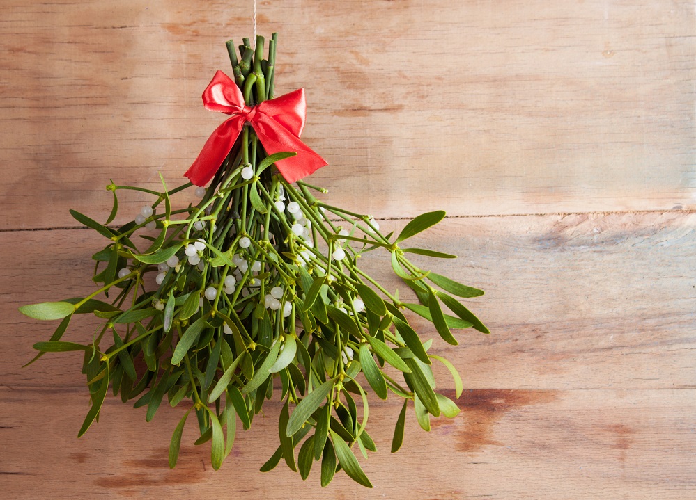 Mistletoe bouquet