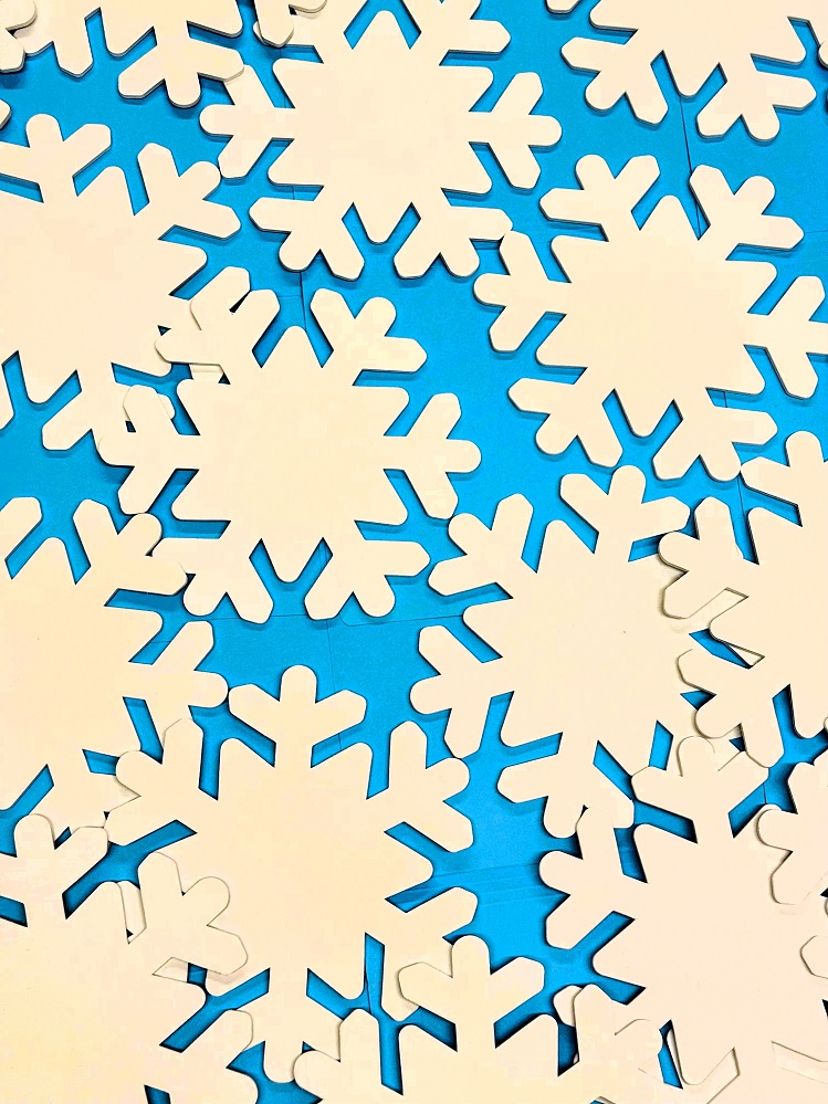 Snowflakes are ready and waiting! These beauties are ready to be personalized and hung in the CHRISTUS Mother Frances Hospital – Sulphur Springs lobby. Snowplows are standing by! To send a thoughtful gift of snowflake recognition, visit Snowflake2025.GiveSmart.com or call 903-438-4799.