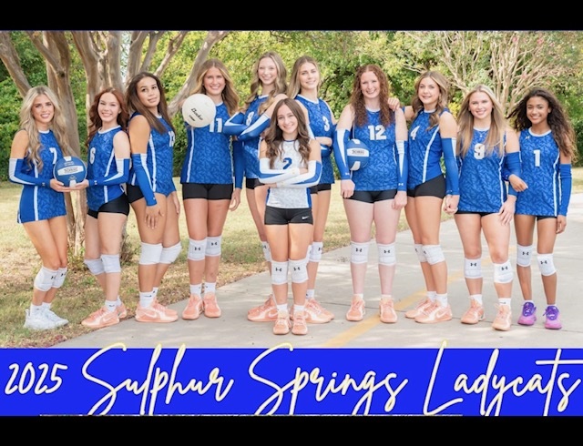 SSHS Lady Cats Volleyball Team November 2025 pic from SSISD facebook