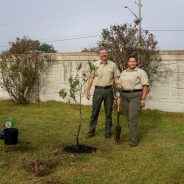 Communities and Classrooms Across the State Celebrate Texas Arbor Day