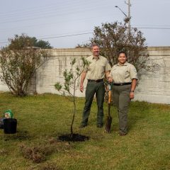 Communities and Classrooms Across the State Celebrate Texas Arbor Day