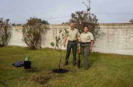 Communities and Classrooms Across the State Celebrate Texas Arbor Day