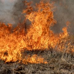 Elevated Wildfire Risk Expected Across Texas this Week