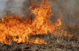Elevated Wildfire Risk Expected Across Texas this Week