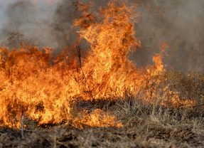 Elevated Wildfire Risk Expected Across Texas this Week