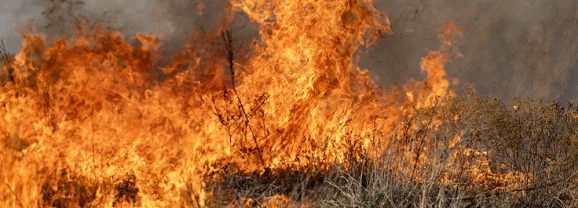 Elevated Wildfire Risk Expected Across Texas this Week